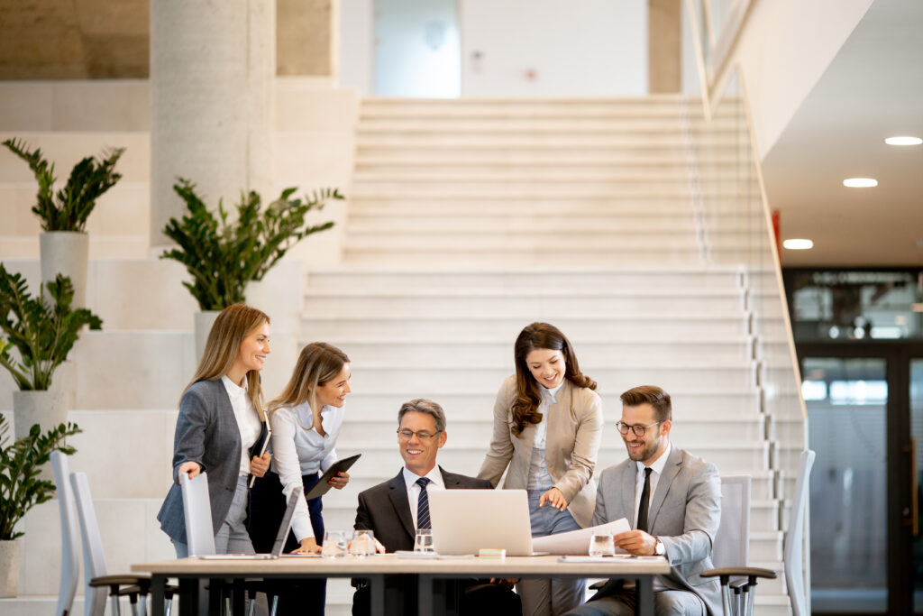 government consulting